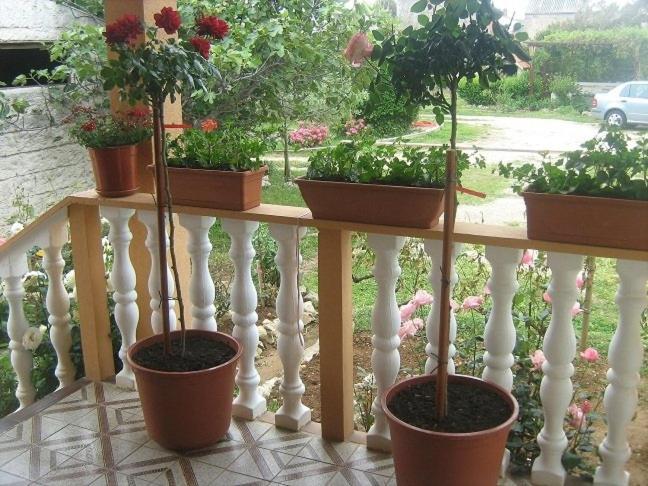 Apartment In Nin With Terrace, Air Conditioning, Wi-Fi Экстерьер фото